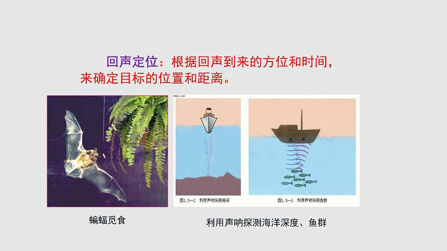 蘇科版年八年級物理上冊同步精品備課 1.4 人耳聽不見的聲音（課件）第8頁