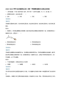 2022-2023学年北京朝阳区初三上学期物理期末试卷及答案