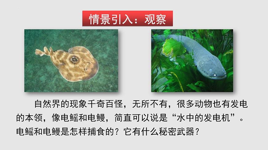 14.5測(cè)量電壓（課件）-九年級(jí)物理上學(xué)期同步精品課件+分層作業(yè)（滬科版）第2頁