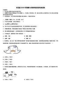 河北省2024年物理九年級(jí)寒假質(zhì)量檢測(cè)試題