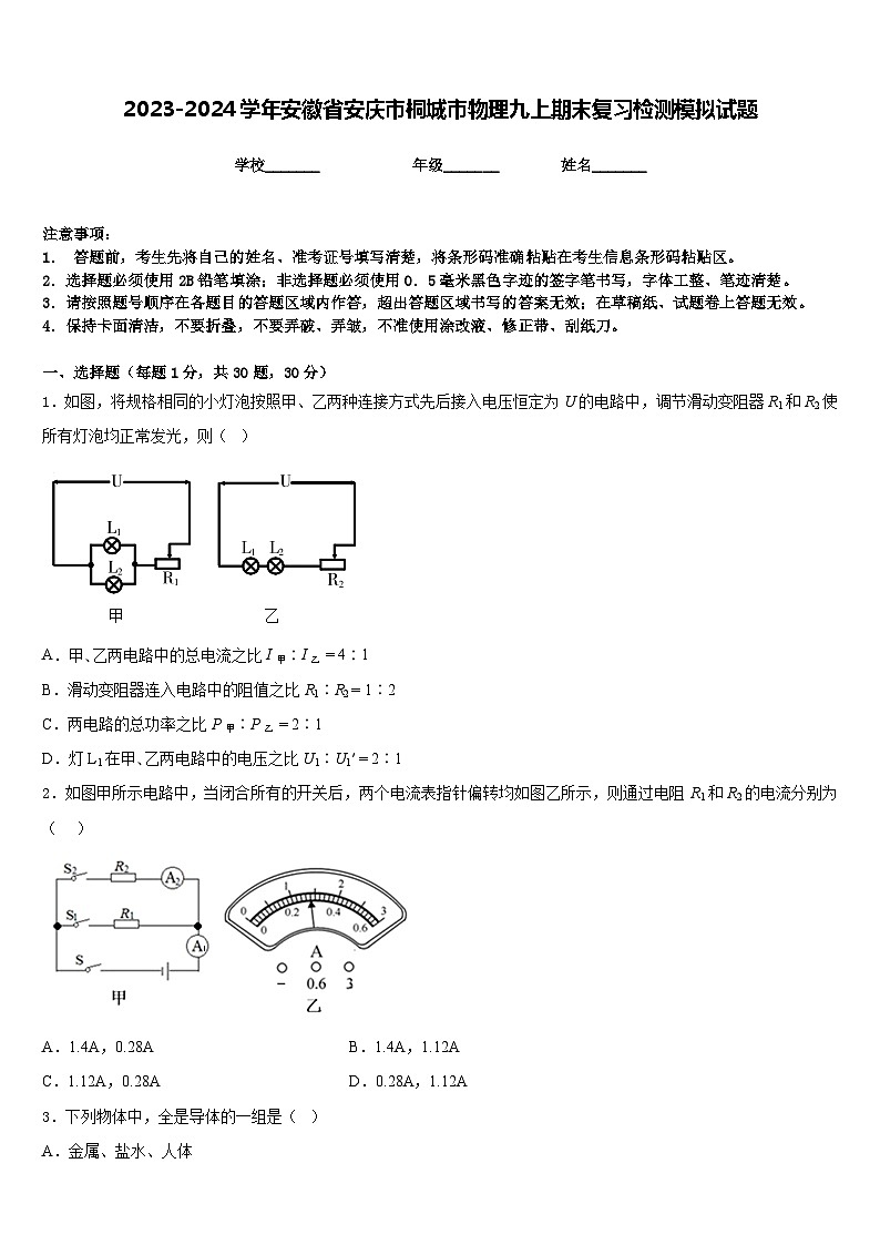 2023-2024学年安徽省安庆市桐城市物理九上期末复习检测模拟试题含答案第1页