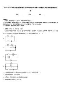2023-2024学年安徽省合肥四十五中学物理九年级第一学期期末学业水平测试模拟试题含答案