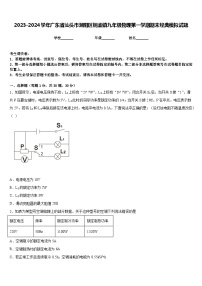 2023-2024學(xué)年廣東省汕頭市潮陽區(qū)銅盂鎮(zhèn)九年級物理第一學(xué)期期末經(jīng)典模擬試題含答案