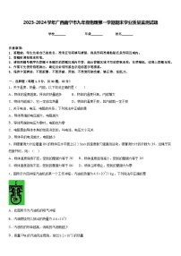 2023-2024学年广西南宁市九年级物理第一学期期末学业质量监测试题含答案