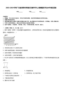 2023-2024學(xué)年廣東省深圳市羅湖區(qū)文錦中學(xué)九上物理期末學(xué)業(yè)水平測(cè)試試題含答案