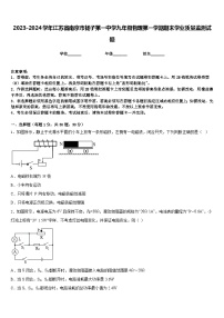 2023-2024学年江苏省南京市扬子第一中学九年级物理第一学期期末学业质量监测试题含答案