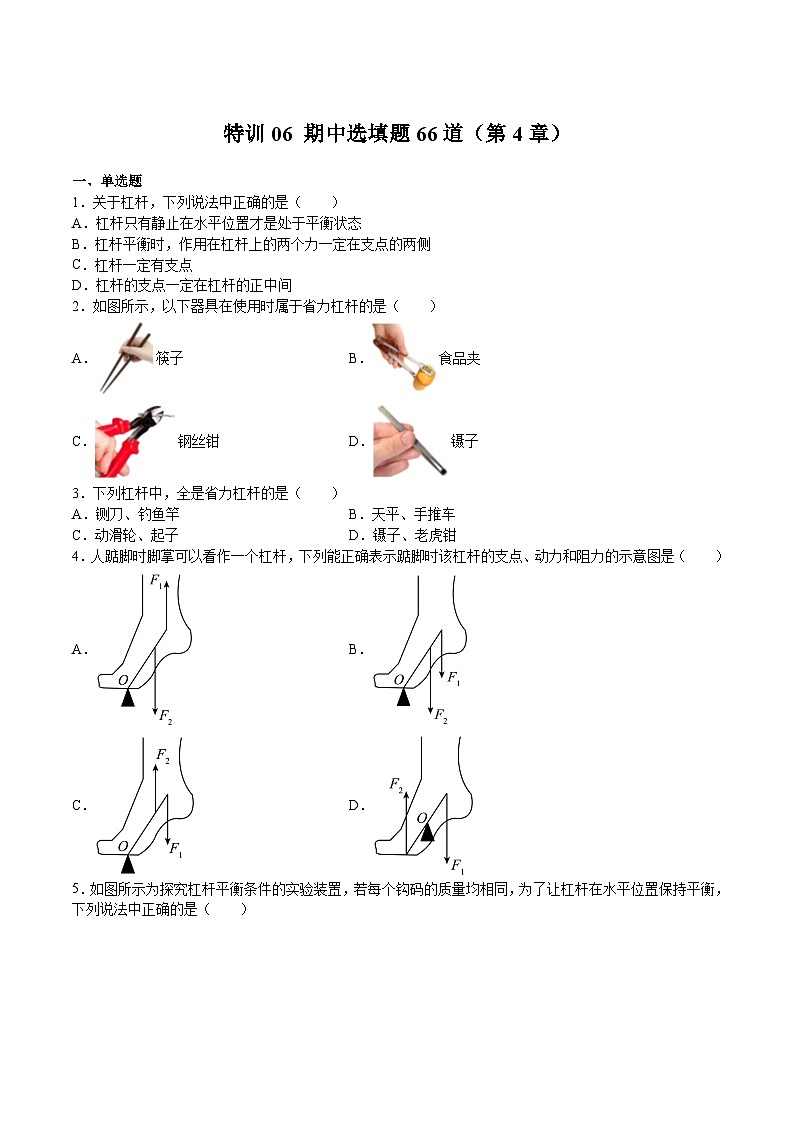 特训06 期中选填题66道(第4章)(原卷版)第1页