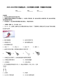 2023-2024学年江苏省昆山市、太仓市物理九年级第一学期期末考试试题含答案