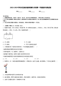 2023-2024学年河北保定雄县物理九年级第一学期期末经典试题含答案