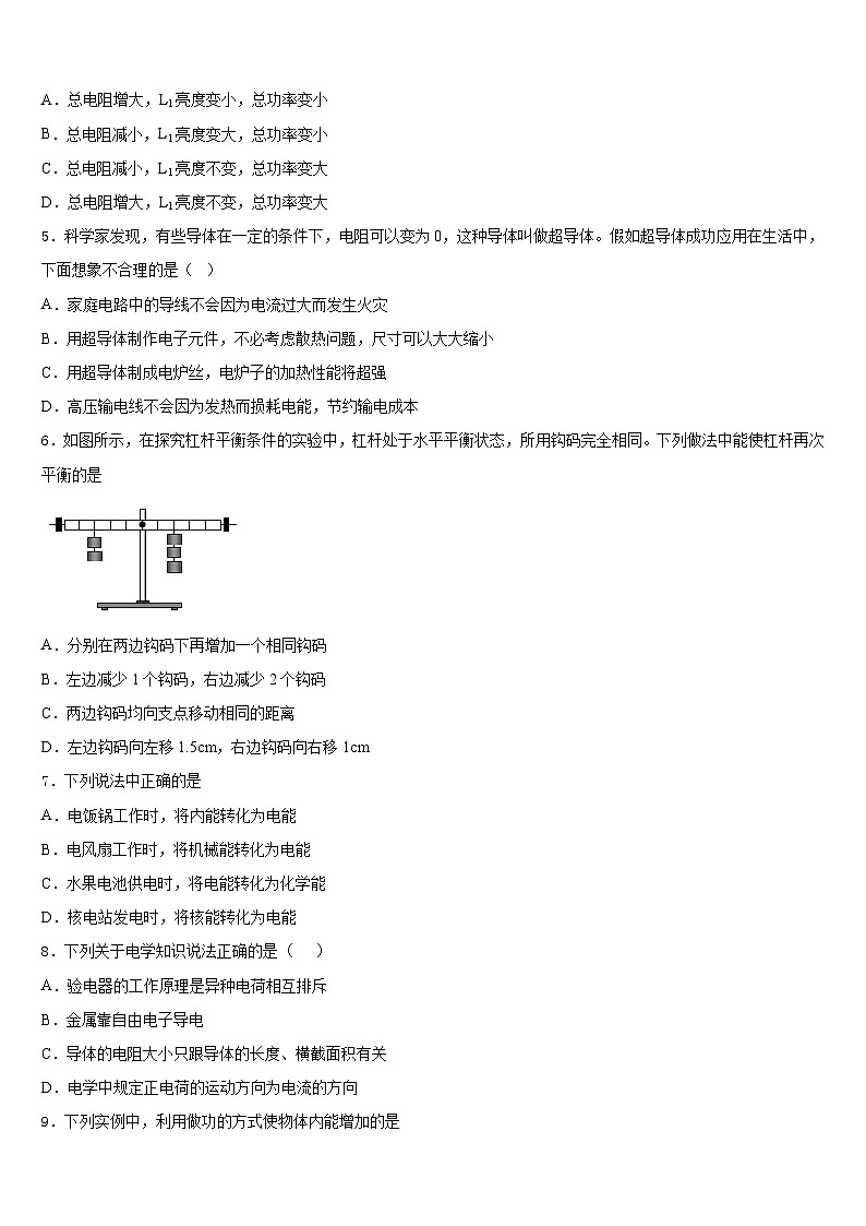 2023-2024学年河北省秦皇岛市抚宁区官庄中学物理九上期末达标检测模拟试题含答案第2页