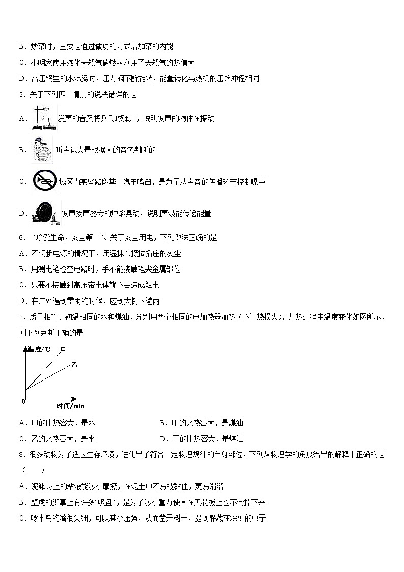 2023-2024学年浙江省温州市平阳县九年级物理第一学期期末达标检测模拟试题含答案第2页