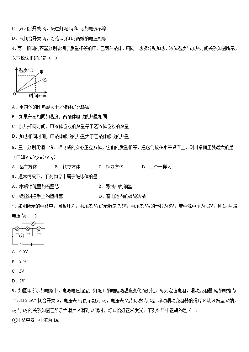2023-2024学年湖南省洪江市九上物理期末达标检测试题含答案02