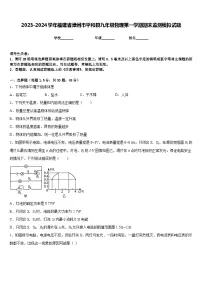 2023-2024学年福建省漳州市平和县九年级物理第一学期期末监测模拟试题含答案