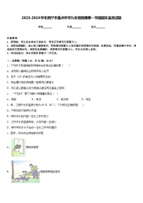 2023-2024学年西宁市重点中学九年级物理第一学期期末监测试题含答案