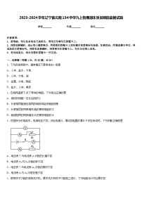 2023-2024學(xué)年遼寧省沈陽134中學(xué)九上物理期末質(zhì)量跟蹤監(jiān)視試題含答案