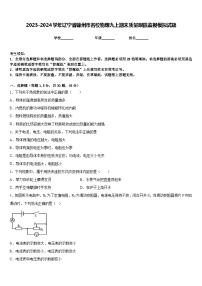 2023-2024學(xué)年遼寧省錦州市名校物理九上期末質(zhì)量跟蹤監(jiān)視模擬試題含答案