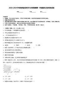 2023-2024学年陕西省宝鸡市九年级物理第一学期期末达标检测试题含答案