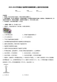 2023-2024学年黑龙江省伊春市嘉荫县物理九上期末综合测试试题含答案