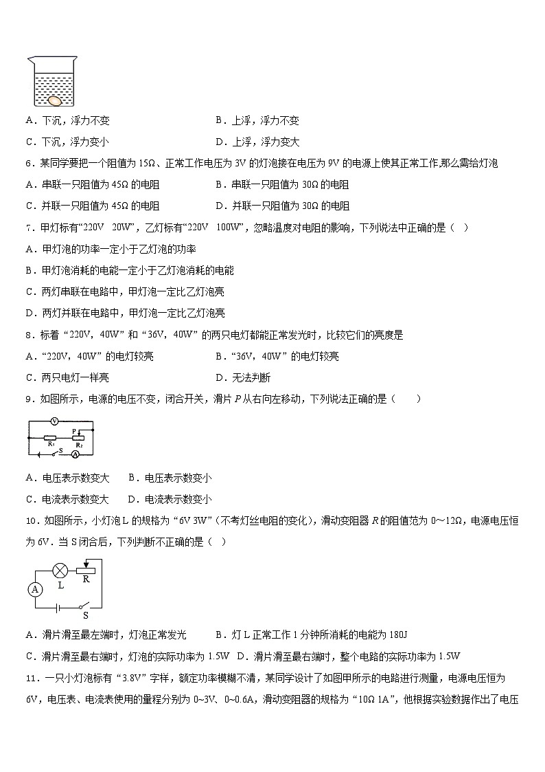 上海市黄浦区名校2023-2024学年九年级物理第一学期期末质量跟踪监视试题含答案第2页