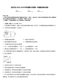 北京丰台2023-2024学年物理九年级第一学期期末联考试题含答案