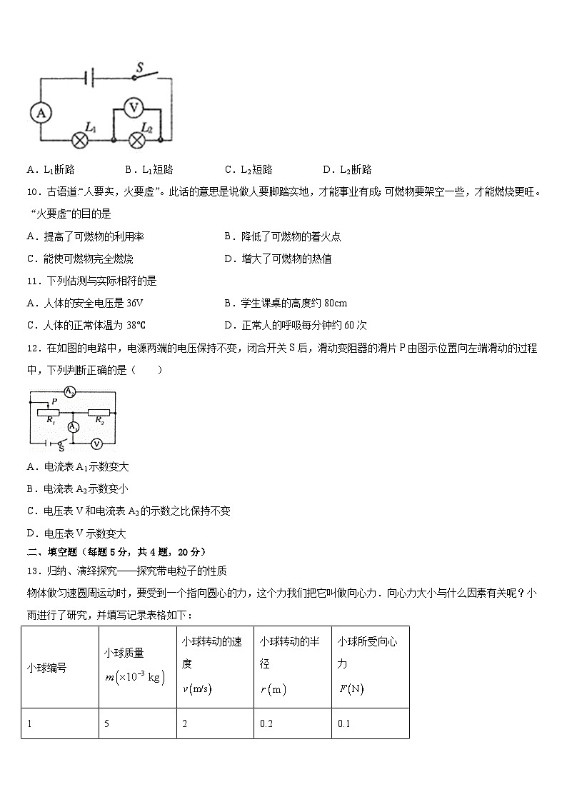 四川省成都树德中学2023-2024学年九上物理期末综合测试模拟试题含答案第3页