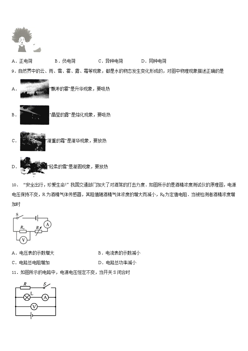 四川省德阳市德阳中学2023-2024学年九上物理期末学业质量监测模拟试题含答案第3页