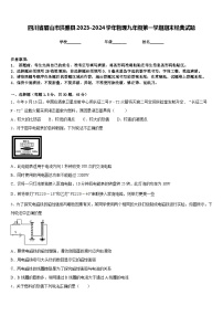 四川省眉山市洪雅縣2023-2024學(xué)年物理九年級(jí)第一學(xué)期期末經(jīng)典試題含答案