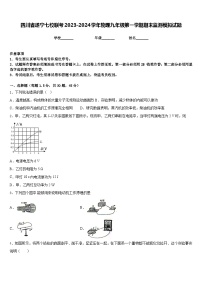 四川省遂宁七校联考2023-2024学年物理九年级第一学期期末监测模拟试题含答案