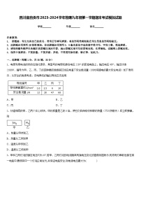 四川省自贡市2023-2024学年物理九年级第一学期期末考试模拟试题含答案