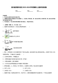 四川省资阳市名校2023-2024学年物理九上期末检测试题含答案