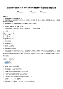 安徽池州市东至县2023-2024学年九年级物理第一学期期末统考模拟试题含答案