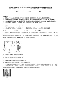 安康市重点中学2023-2024学年九年级物理第一学期期末检测试题含答案