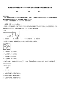 山东省菏泽市名校2023-2024学年物理九年级第一学期期末监测试题含答案