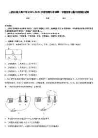 山西运城大禹中学2023-2024学年物理九年级第一学期期末达标检测模拟试题含答案