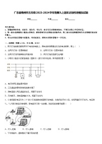 广东省梅州市五华县2023-2024学年物理九上期末达标检测模拟试题含答案