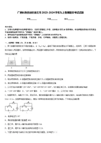 广西壮族自治区崇左市2023-2024学年九上物理期末考试试题含答案