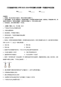 江苏省南京市树人中学2023-2024学年物理九年级第一学期期末考试试题含答案