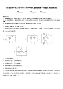 江苏省徐州市树人中学2023-2024学年九年级物理第一学期期末质量检测试题含答案