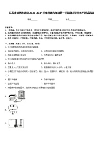 江苏省徐州市沛县2023-2024学年物理九年级第一学期期末学业水平测试试题含答案
