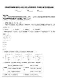 河北省沧州青县联考2023-2024学年九年级物理第一学期期末复习检测模拟试题含答案