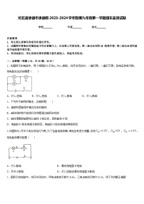 河北省承德市承德县2023-2024学年物理九年级第一学期期末监测试题含答案