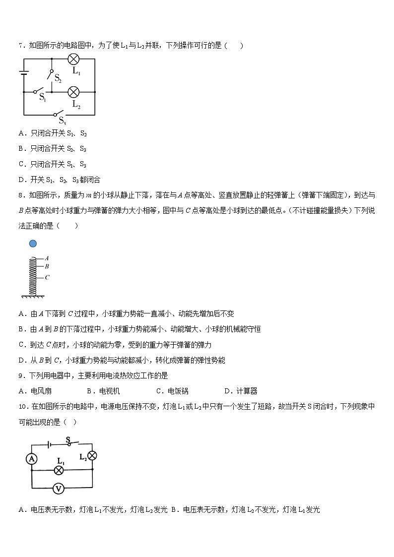河北省廊坊市霸州市2023-2024学年物理九年级第一学期期末调研模拟试题含答案第3页
