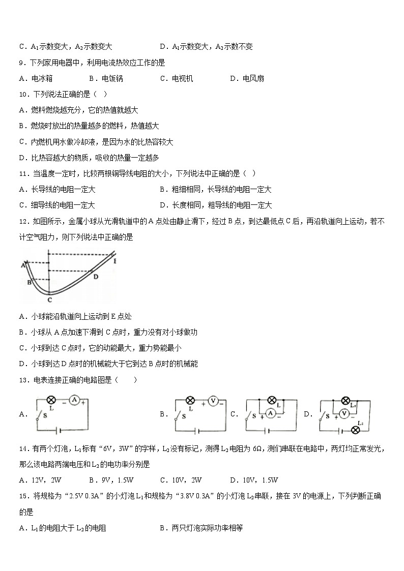 河北省霸州市部分学校2023-2024学年物理九年级第一学期期末联考模拟试题含答案第3页