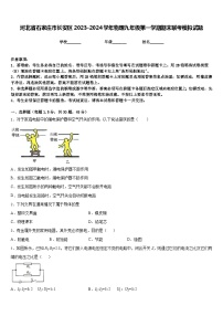 河北省石家庄市长安区2023-2024学年物理九年级第一学期期末联考模拟试题含答案