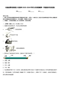 河南省漯河郾城区六校联考2023-2024学年九年级物理第一学期期末检测试题含答案