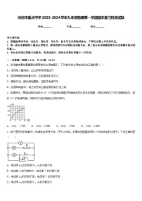 河池市重点中学2023-2024学年九年级物理第一学期期末复习检测试题含答案