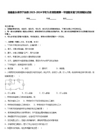 湖南省永州市宁远县2023-2024学年九年级物理第一学期期末复习检测模拟试题含答案