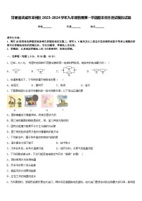 甘肃省武威市凉州区2023-2024学年九年级物理第一学期期末综合测试模拟试题含答案