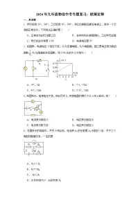 2024年物理中考专题复习:欧姆定律(含答案)