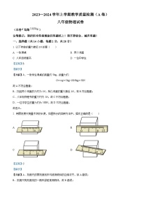 福建省漳州市2023-2024学年八年级上学期期末教学质量检测物理试题(A卷)